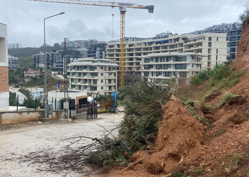 MUDANYA\'DA YAĞIŞIN ETKİSİ: AĞAÇ DEVRİLDİ,YOL ÇÖKTÜ,BAZI YERLERDE DERELER TAŞTI 