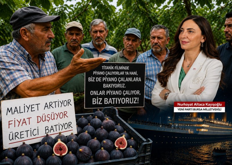 İNCİR ÜRETİCİSİNDEN ÇARPICI BENZETME: \
